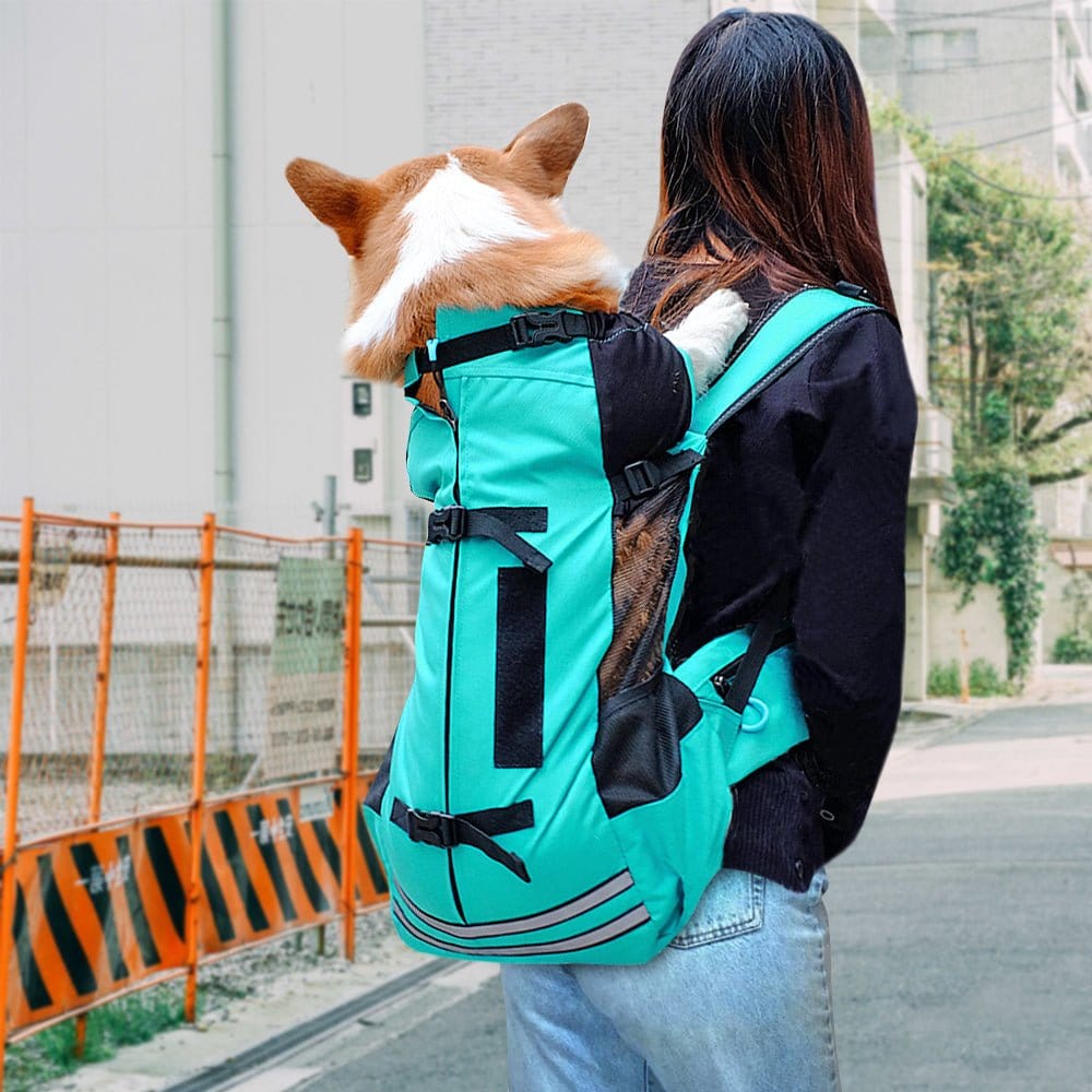 Dog Carrier - Daily Pet Supplies