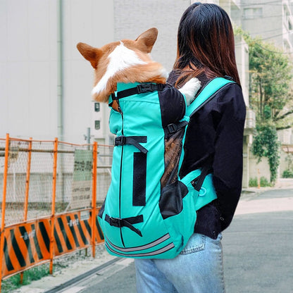 Dog Carrier - Daily Pet Supplies