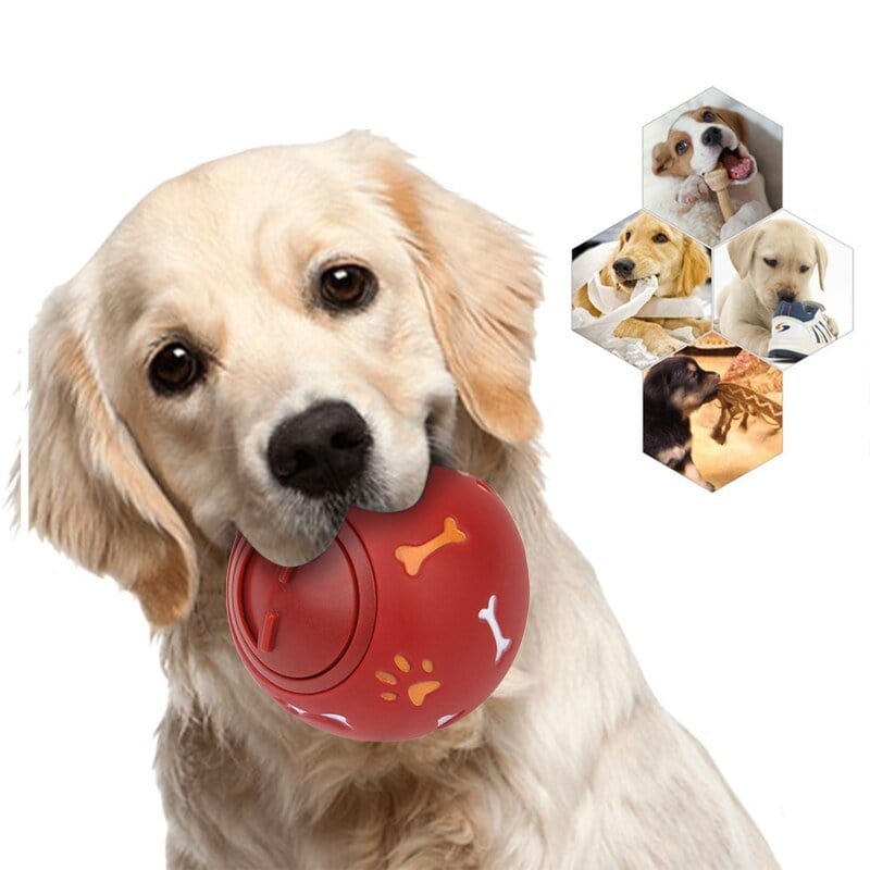 Dog Tooth Cleaning Ball - Daily Pet Supplies