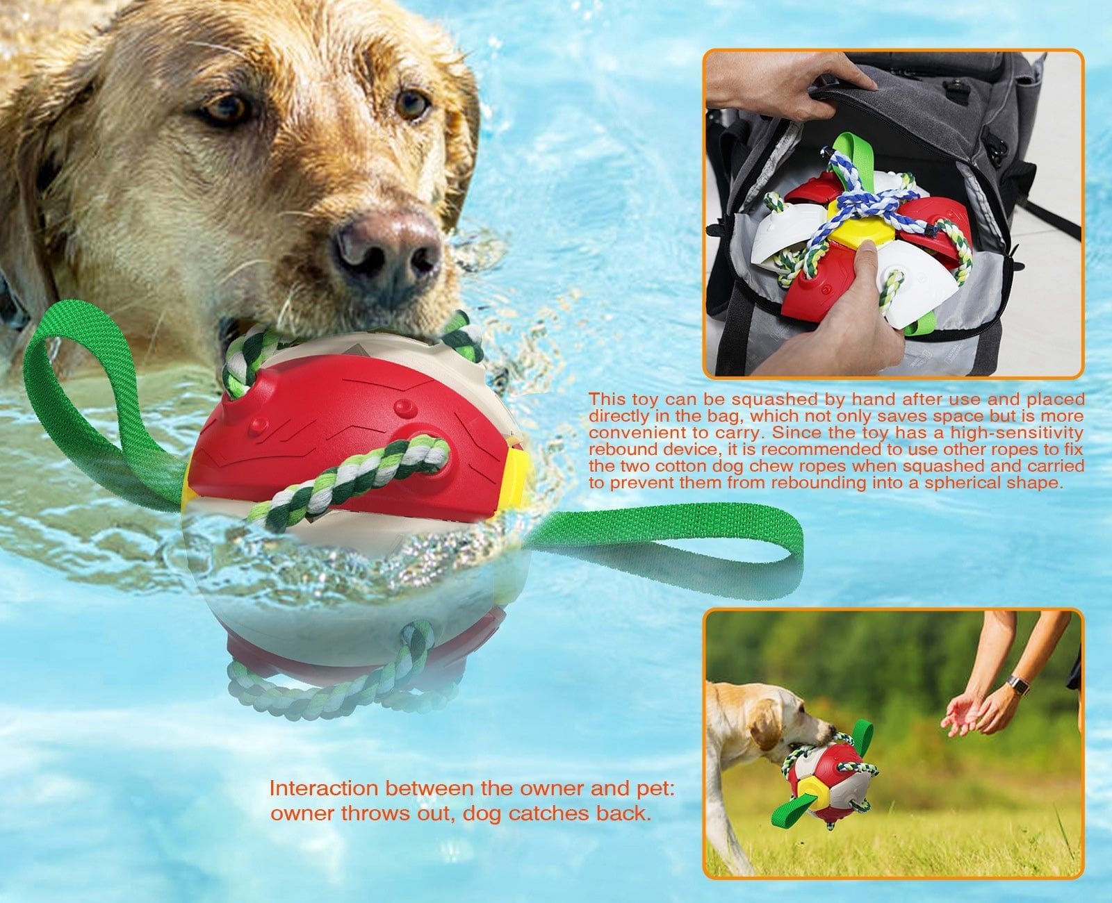 Interactive Dog Toy - Daily Pet Supplies