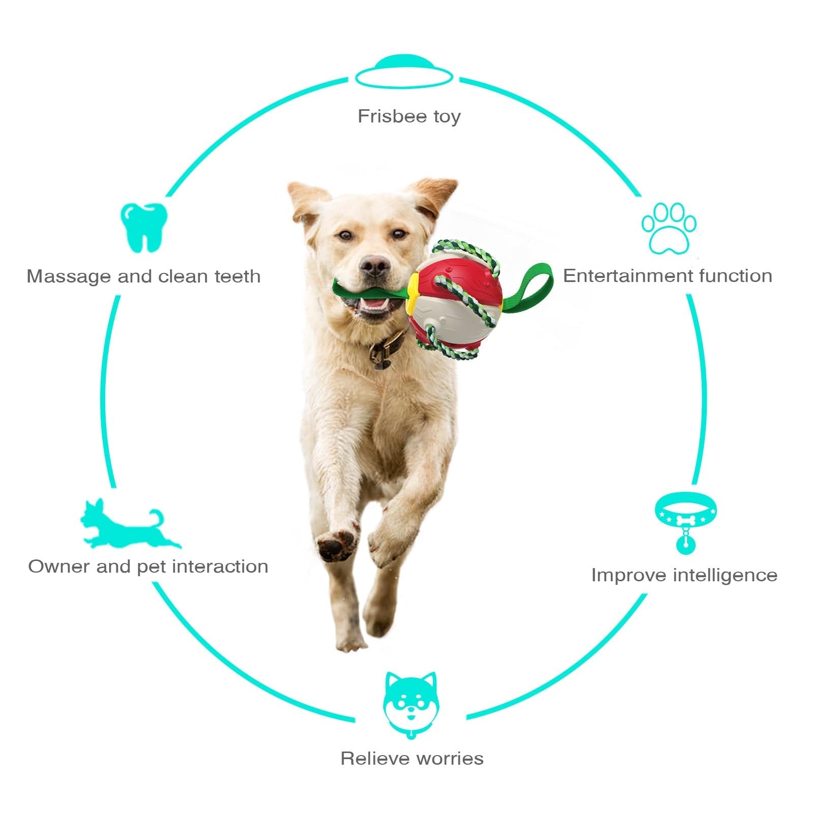 Interactive Dog Toy - Daily Pet Supplies