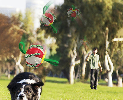 Interactive Dog Toy - Daily Pet Supplies
