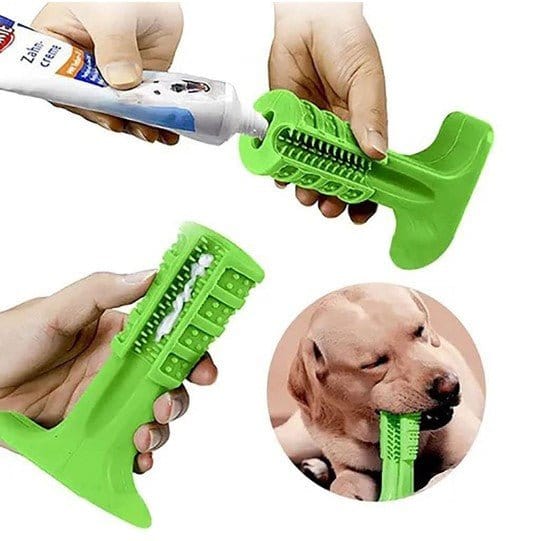 Pet Teether Toothbrush - Daily Pet Supplies