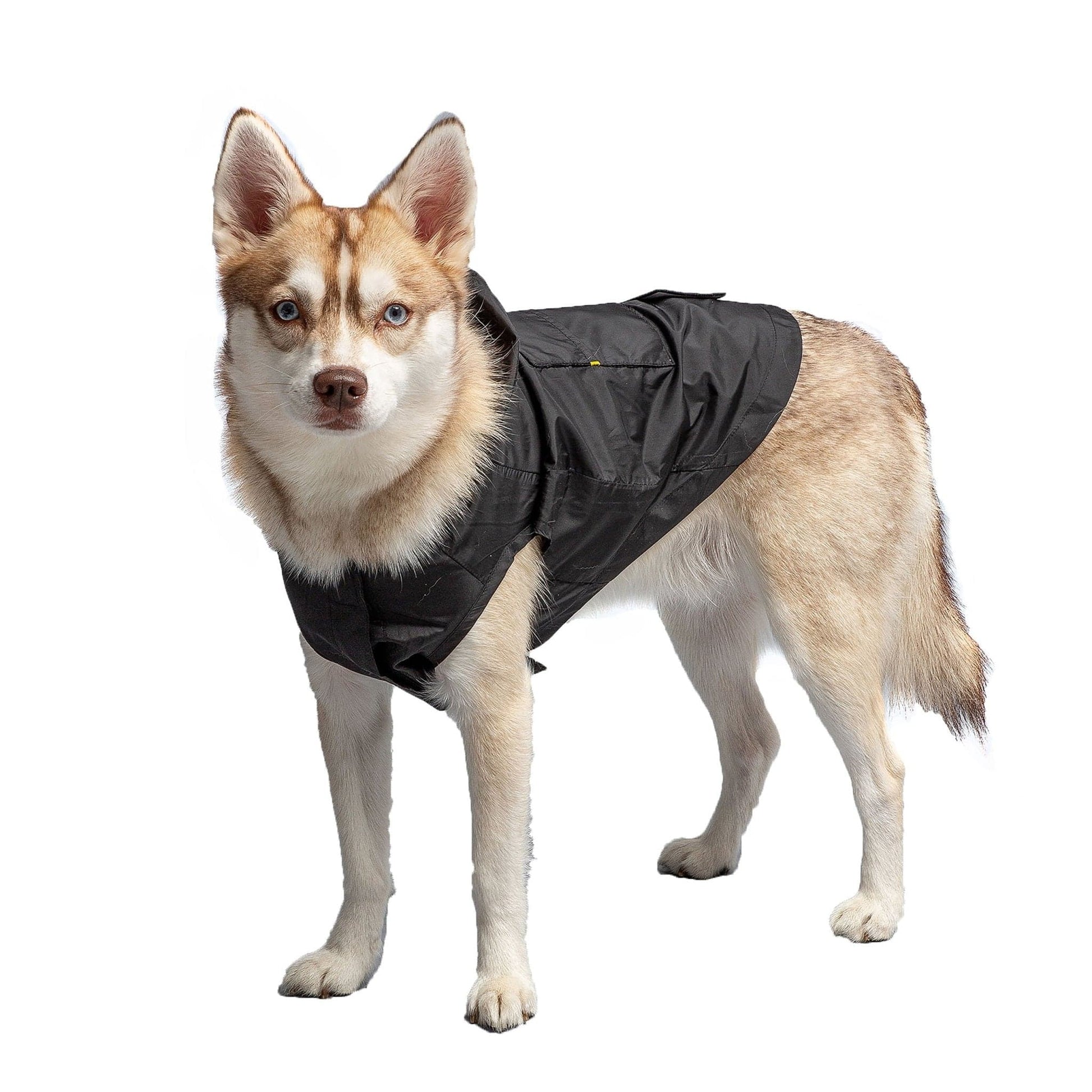 US Army Packable Dog Raincoat - Black - Daily Pet Supplies