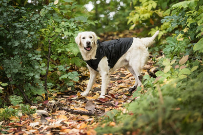 US Army Packable Dog Raincoat - Black - Daily Pet Supplies